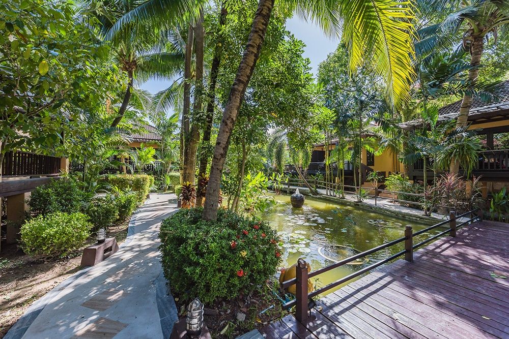 郁郁葱葱的热带环境