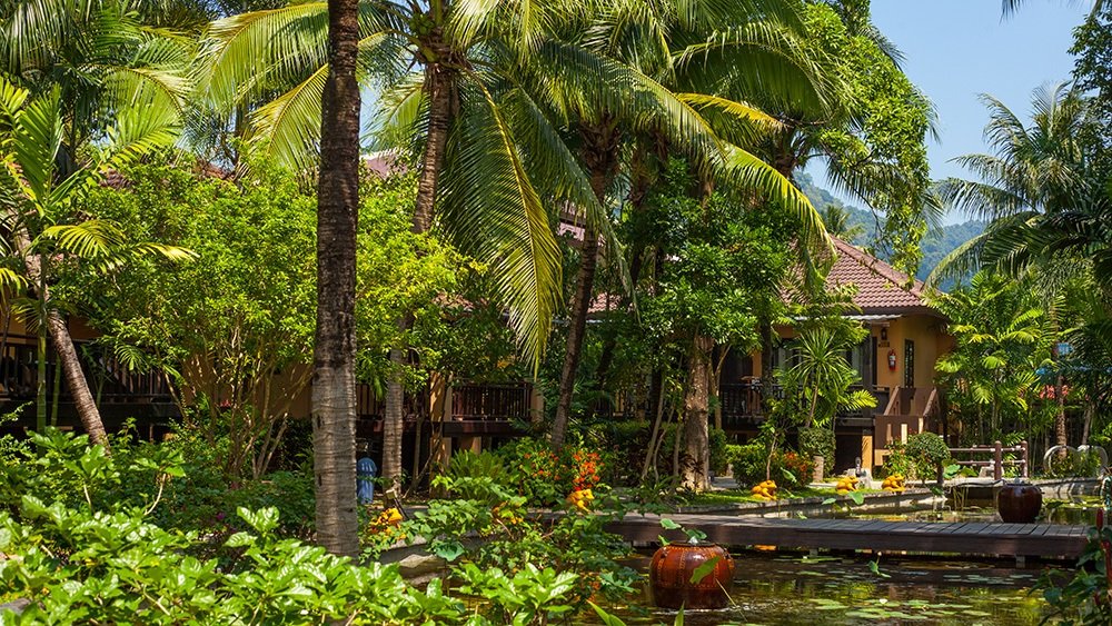 郁郁葱葱的热带环境