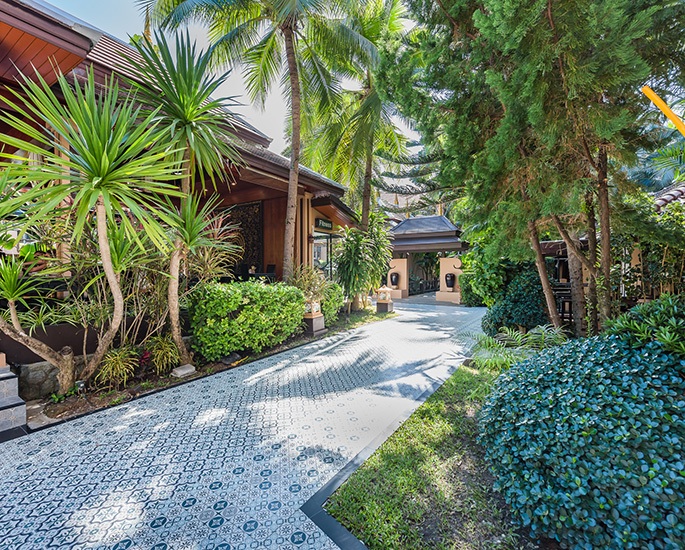 郁郁葱葱的热带环境